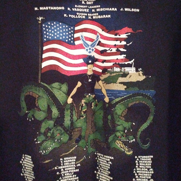 Air Force Hoodie FLT 081 - Picture 5 of 5